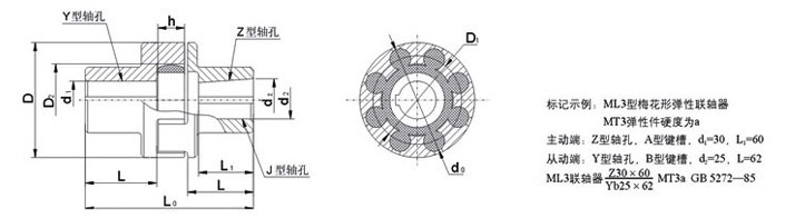 湖北多力多傳動軸有限公司 ML型梅花形彈性聯(lián)軸器.jpg